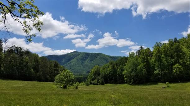 istock Symmetric Mountain Pasture Vista in May 1149647524