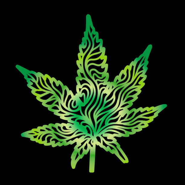 Green Zen Cannabis Leaf Hand-drawn doodle drawing of a cannabis marijuana leaf, with thick lines in green gradient. marijuana tattoo stock illustrations