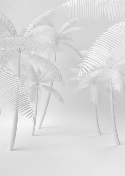 istock Creative minimal summer paper idea. Concept white palm tree with white background. 3d render, 3d illustration. 1149654132