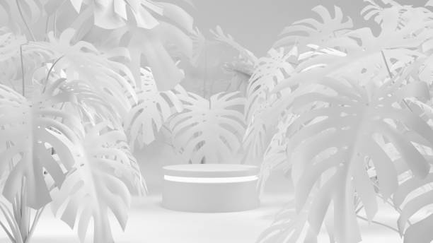 deliciosa with geometric shape white scene concept presentation product 3d rendering. - tree set imagens e fotografias de stock
