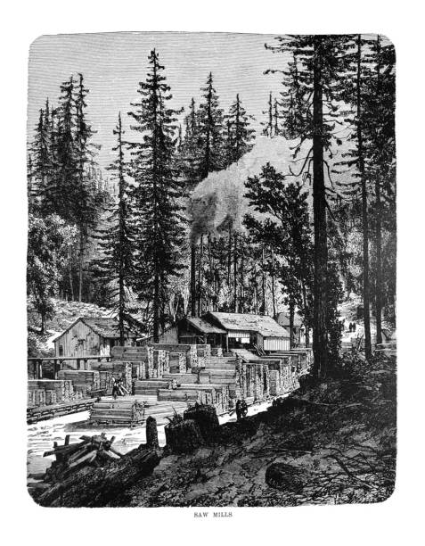 From First Century of National Existence; The United States - 1873