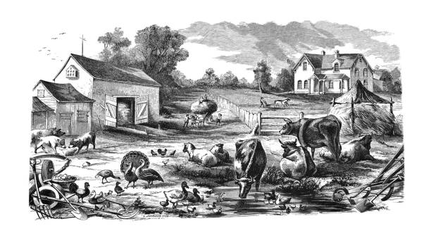First Century United States illustrations - 1873 - Farm - farm house - animals vector art illustration