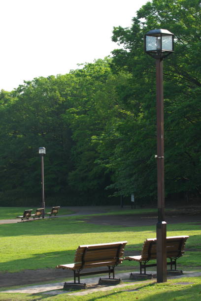 istock Benches in a park in the morning 1149659506