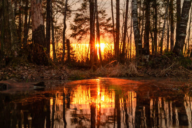 istock Evening landscape by the lake at sunset. 1149659915