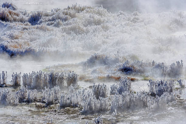 Yellowstone National Park in Wyoming Mud Volcano feature in Yellowstone National Park mud volcano yellowstone stock pictures, royalty-free photos & images