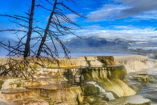 Mammoth Hot Springs feature in Yellowstone National Park