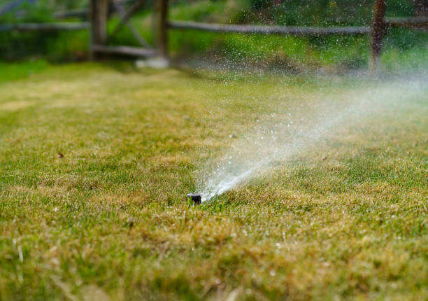 istock Lawn Sprinkler Water Spray 1149661096