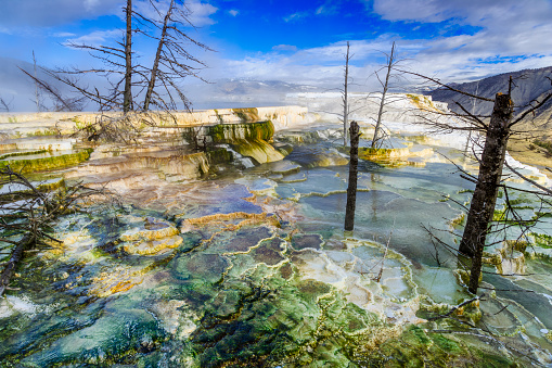 A closeup shot of a landscape with Geiser in Yellowstone National Park in  Wyoming