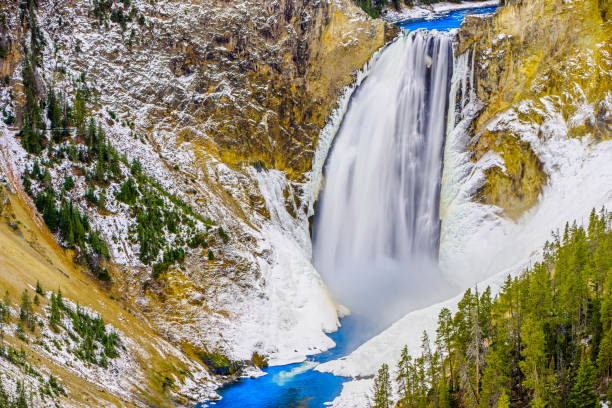 Lower Yellowstone Falls in Yellowstone National Park