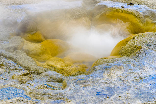 Upper Gyser Basin in Yellowstone National Park