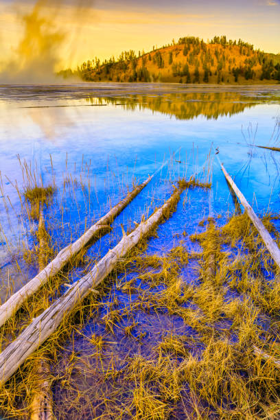 Grand Prismatic Spring in Yellowstone National Park