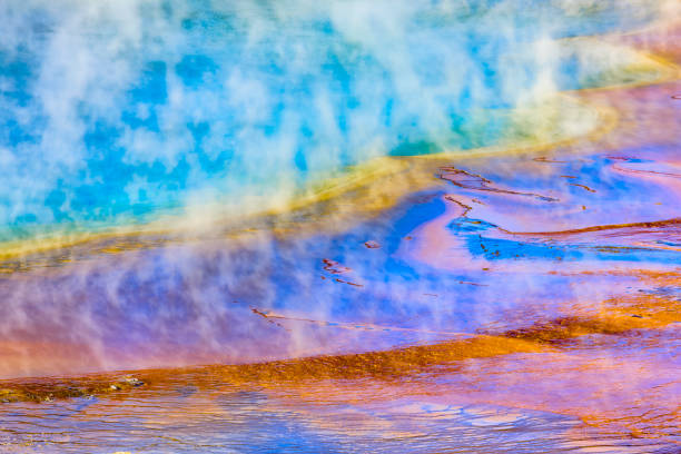 Yellowstone National Park in Wyoming Grand Prismatic Spring in Yellowstone National Park bacterial mat stock pictures, royalty-free photos & images