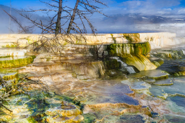 Mammoth Hot Springs feature in Yellowstone National Park