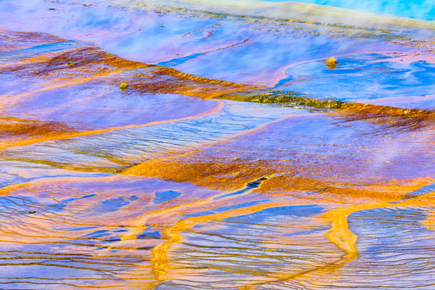 istock Yellowstone National Park in Wyoming 1149661796