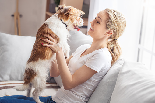 Young woman with dog at home sitting on the sofa