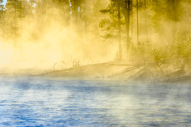 Firehole River at dawn in Yellowstone National Park