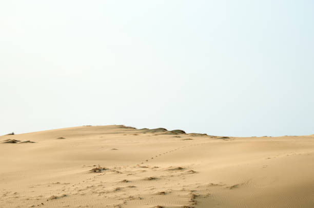 istock Sindu-ri Coastal Sand Hills 1149668625
