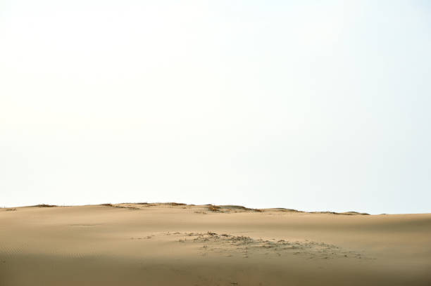 istock Sindu-ri Coastal Sand Hills 1149668632