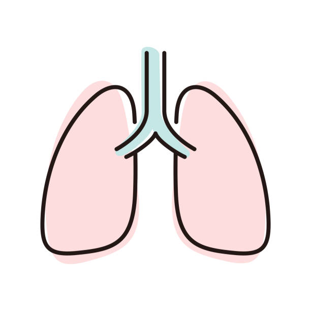 Pulmones Animados - Banco de fotos e imágenes de stock - iStock Pulmones Animados - Banco de fotos e imágenes de stock - iStock