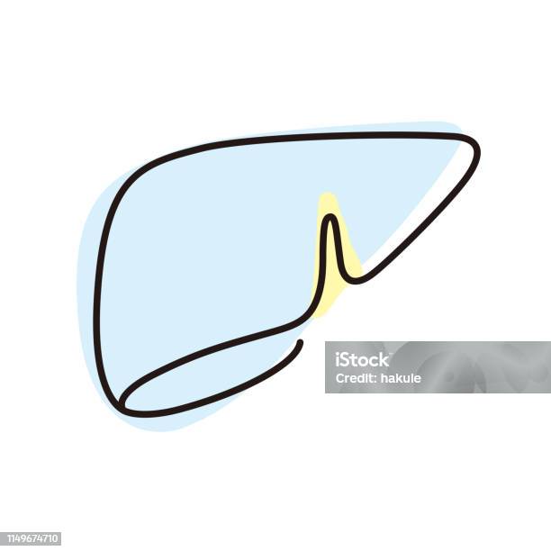 Human Organ Liver Stomachflat Icon Vector Illustration Stock Illustration - Download Image Now