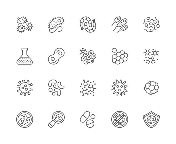 Set of bacteria, probiotic and virus line icons. Microbe, germ, cell, caviar, petri dish, immune system and more. Set of bacteria, probiotic and virus line icons. Microbe, germ, cell, caviar, petri dish, immune system, medical pills, laboratory flask and more. biohazard symbol stock illustrations