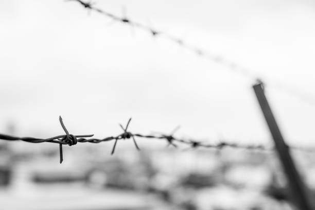 istock Black and white Barbed wire on the background blurred 1149684896