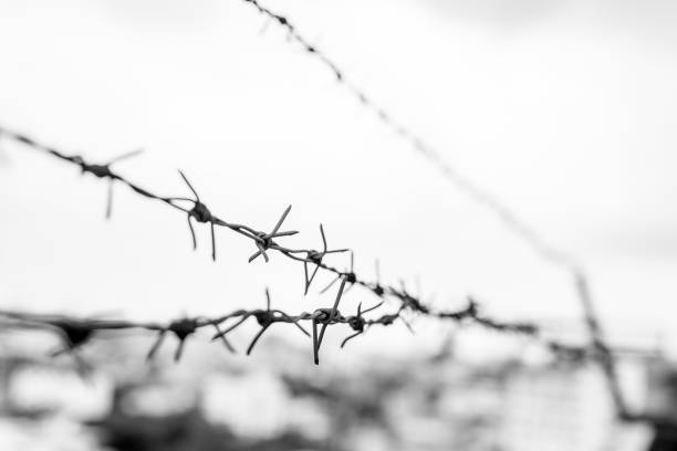 Black and white Barbed wire on the background blurred