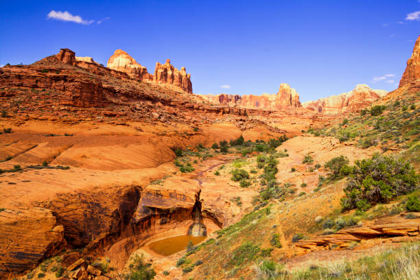 istock Stevens Canyon - Glen Canyon National Recreation Area 1149689145