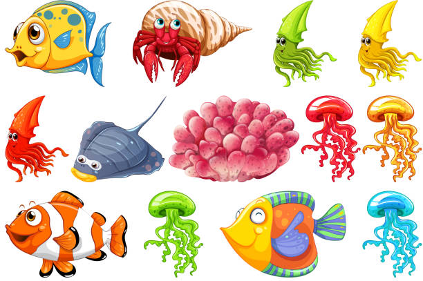Set of sea creature Set of sea creature illustration hermit crab stock illustrations