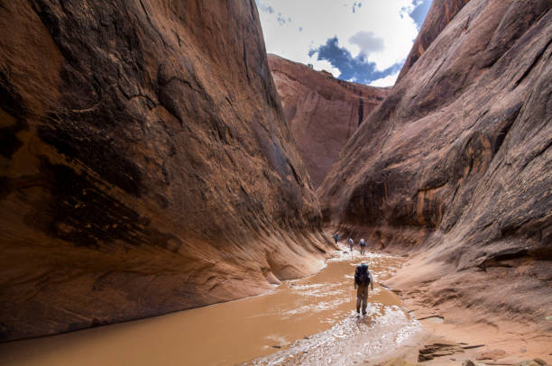 Hiking the Halls Creek Narrows - Capitol Reef National Park A group of hikers treks through the Halls Creek narrows in Capitol Reef National Park. glen canyon dam stock pictures, royalty-free photos & images