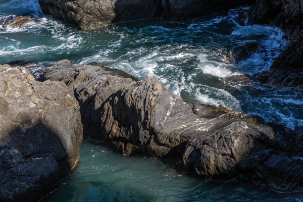 istock Sea, waves, foam and rocks 1149703604