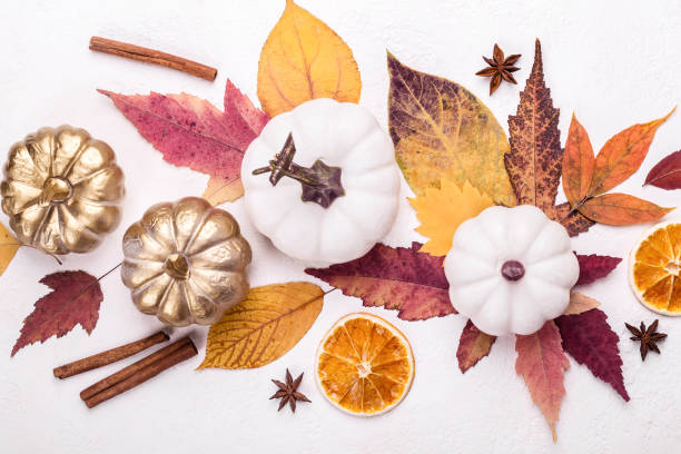 istock Multicolored leaves and white pumpkins closeup. Creative autumn layout 1149704551