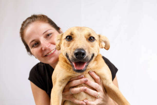 istock Woman holding cute dog 1149705775