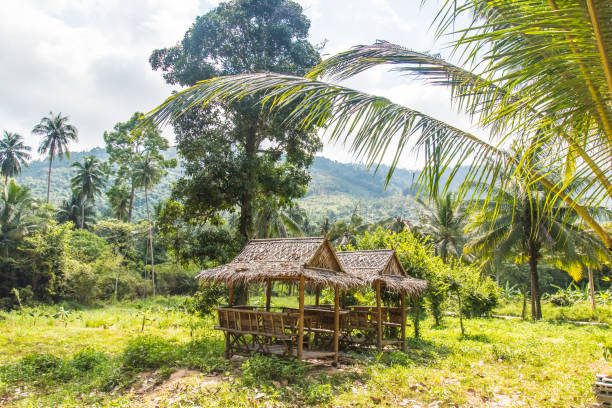 istock Traditional rest place at Koh Samui Island Thailand 1149705938
