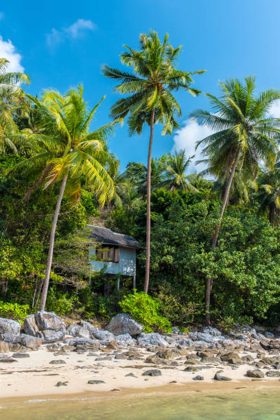 istock Small house at tropical wild beach at Koh Samui, Thailand 1149705968