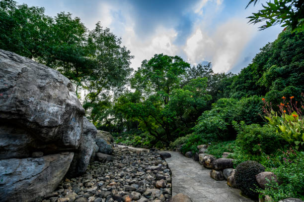 istock Luxuriant Garden Vegetation 1149707862
