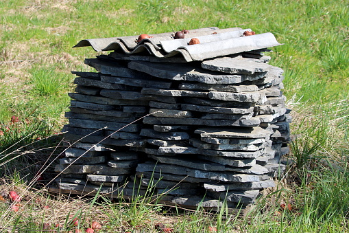 Pile of roughly cut stone tiles on wooden pallet covered with roof tiles and fallen apples surrounded with uncut grass in local backyard on warm sunny spring day