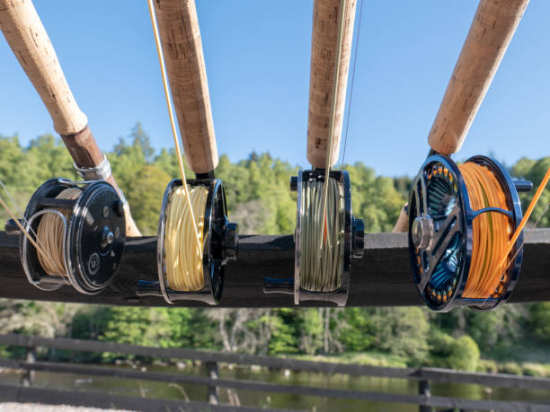 Four fishing rods on a rack by a river Four fishing rods stored on an outside wooden rack, by a river in Scotland, during a break from fishing. Trees in leaf grow on the other side of the river. The reels vary in age. The one on the left with beige line is very old. The one on the right, with vibrant orange line, is a very modern spool with a technologically advanced sports reel and line. The other two reels have yellow and green line. All have lightweight cork handles. fly fishing scotland stock pictures, royalty-free photos & images