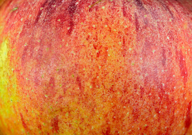 istock Skin of an apple 1149716514
