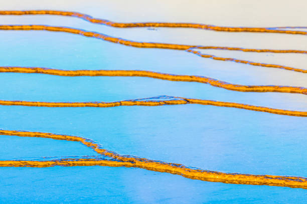 Grand Prismatic Spring in Yellowstone National Park