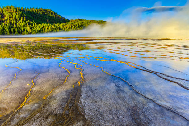 Yellowstone National Park in Wyoming Grand Prismatic Spring in Yellowstone National Park fumarole photos stock pictures, royalty-free photos & images