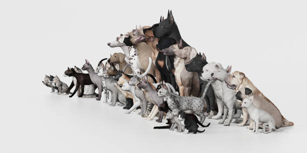 istock Large group of Dogs and Cats side view  white floor 3d render 1149722653