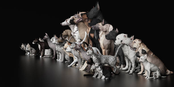 istock Large group of Dogs and Cats left view  black floor 3d render 1149722654
