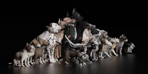 istock Dogs and Cats sitting together in black studio 3d render 1149722655