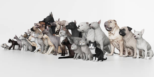 Dogs and Cats together as group 3d render