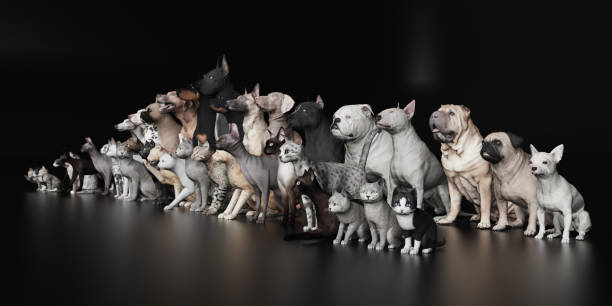 istock Cats sitting in front of dogs black studio 3d render 1149722668