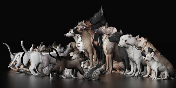 istock Dogs versus Cats sitting  face to face 3d render 1149722673