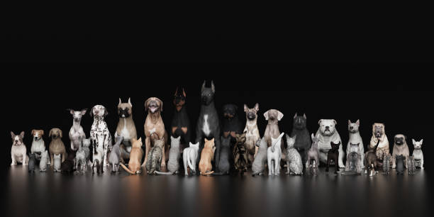 istock Dogs versus Cats sitting and threatining each other 3d render 1149722674