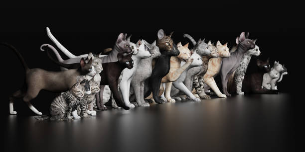 istock Lots of cats together in lline 3d render 1149722681