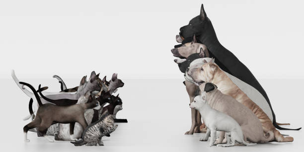 istock Dogs versus Cats confronting each other white floor  3d render 1149722688